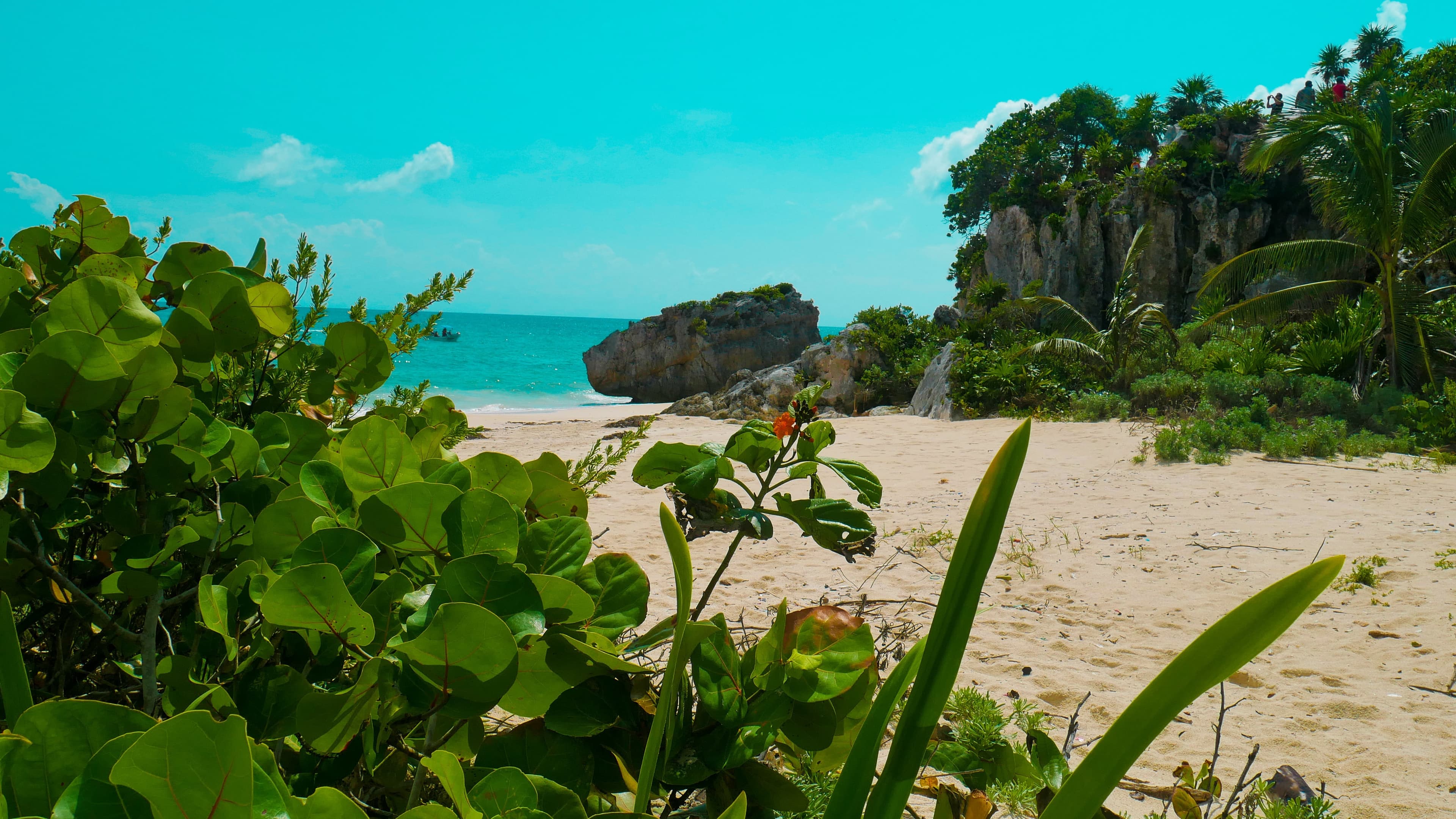 Beach and turquoise water at Tulum