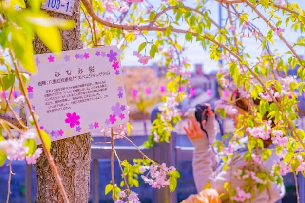 Spring 2025: Aman Invites Travelers to Experience New