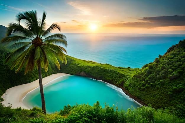 Discover the Best Things to Do in Fiji