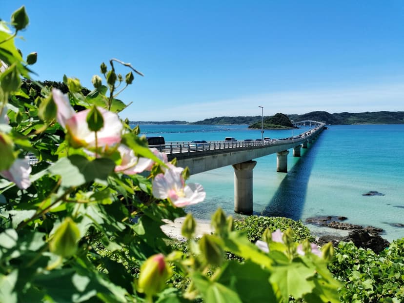Discover Amazing Things to Do in Okinawa: Your Ultimate