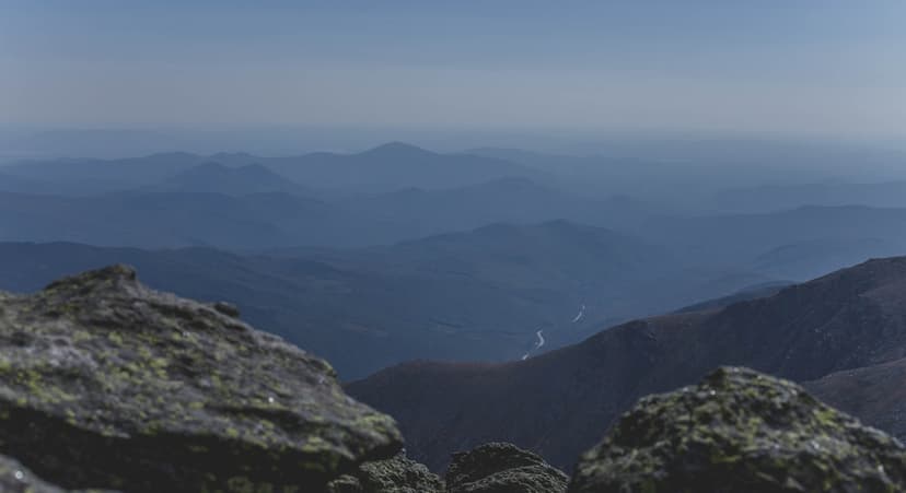 The Guide to a Trip to Washington, DC