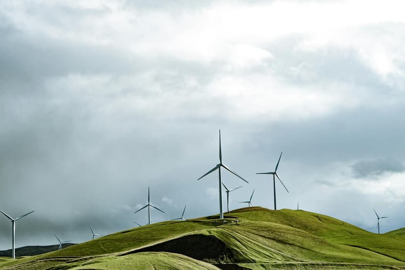 A Greener Future Is Possible - Let's Talk Sustainability