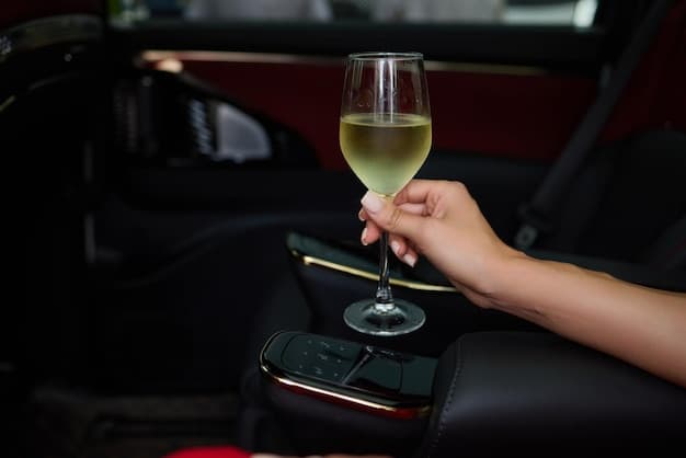 Airport Transfer or Wine Tour - Which Experience Best Suits