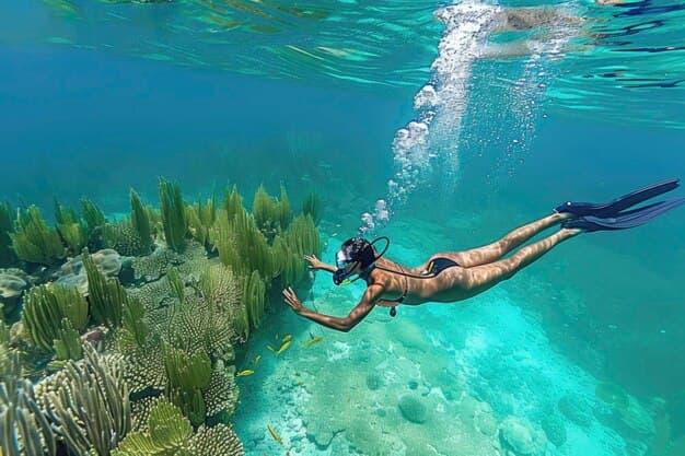 Dive Deep into the Maldives Experience at Angsana Velavaru