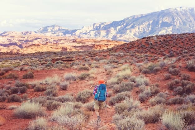 Scopri le migliori cose da fare in Arizona e crea ricordi indimenticabili