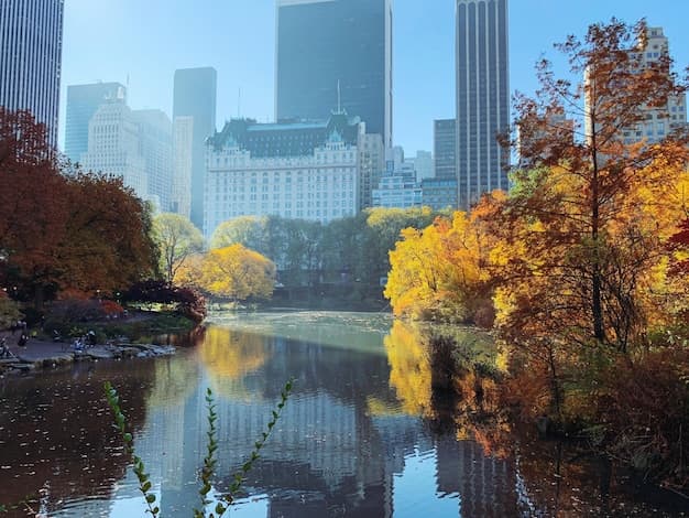 Autumn in New York City: Top Hotels for Fall Foliage and
