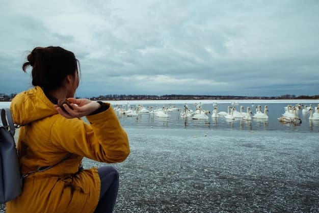 Disturbing Incident on Serene Air Flight Highlights Safety