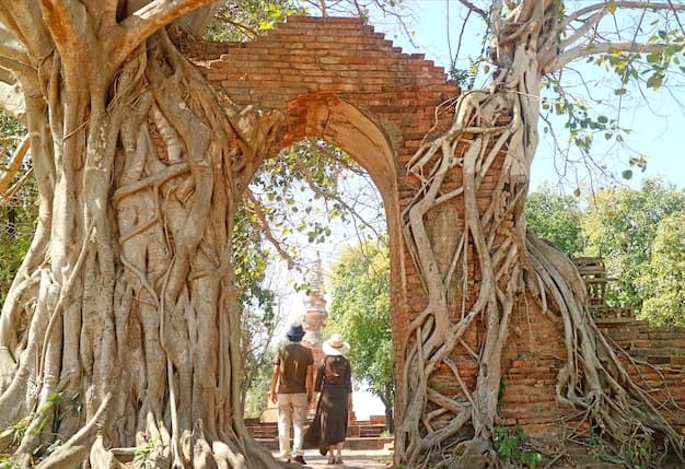 Explore Banyan Tree Dubai Caesars Palace: A Luxurious Stay