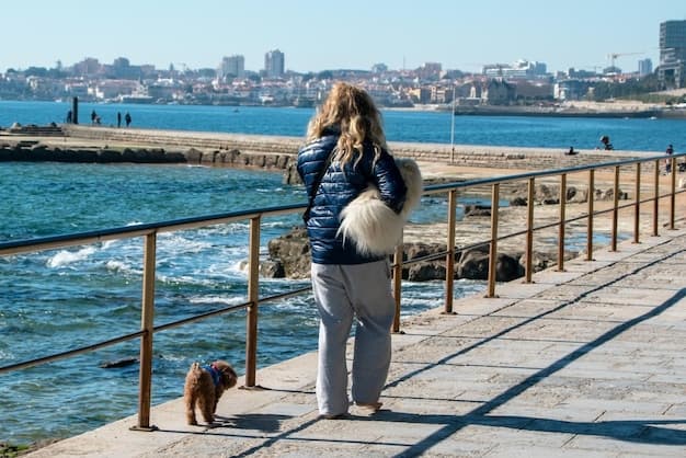 Plymouth Barbican — A Walk Through England’s Oldest