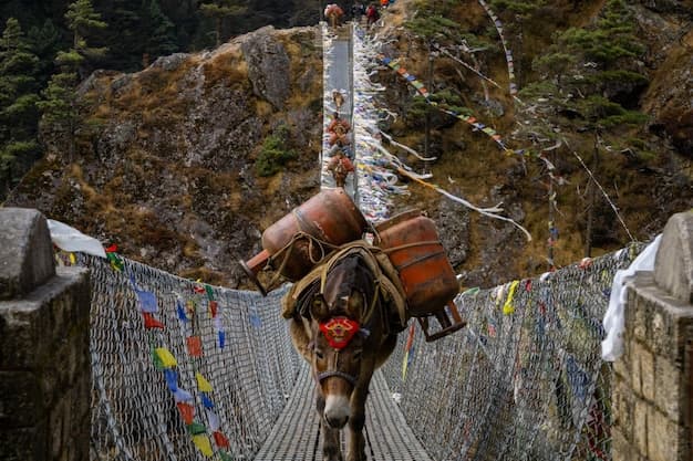 Bhutan's Unique Gelephu Airport Design Featured at Venice