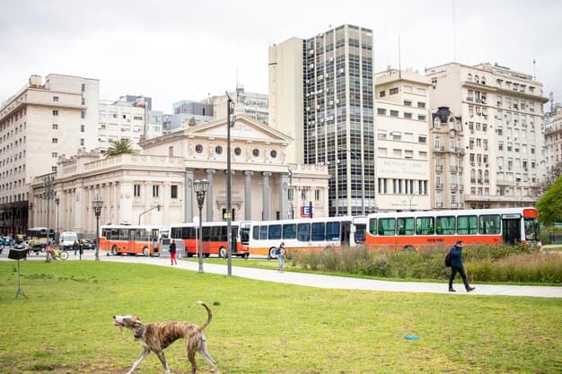 Buenos Aires Transport - A Practical Guide to Getting