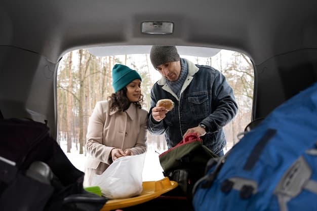 Auton vuokraus kuljettajan kanssa Belgiassa - Brysselin Business Limousine Services