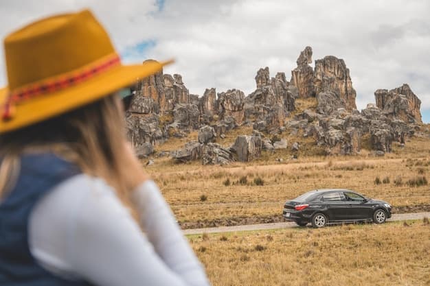 Car Rental at Southwest Florida International Airport (RSW)