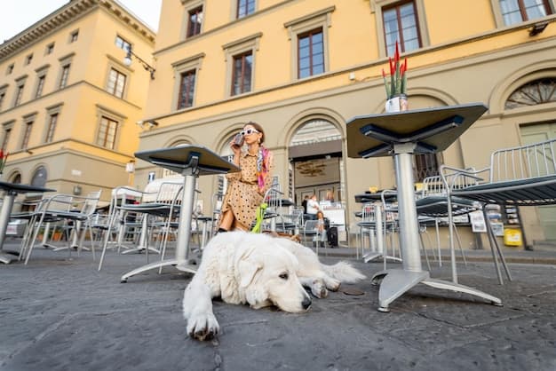 København til fots: En praktisk måte å utforske – og hvordan