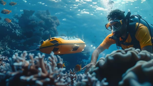 Coral Conservation Efforts at Sheraton Maldives Full Moon