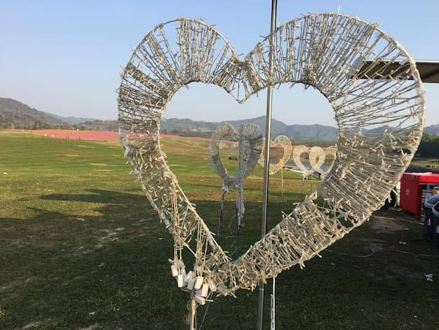 Dallas Love Field Airport Shuttle - Reliable and Affordable Transfers - Book Now