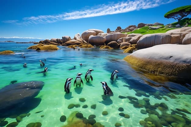 Amazing Things to Do in Dauphin Island, AL