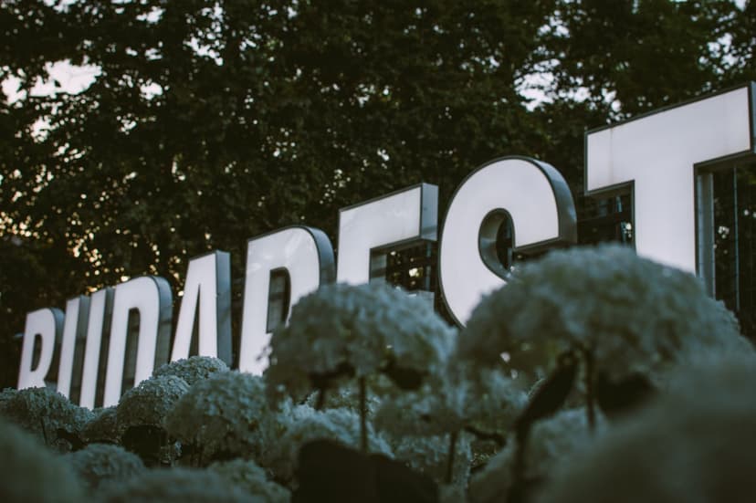 Marketplace vs. Directe aanbieder: Viator en One Nation