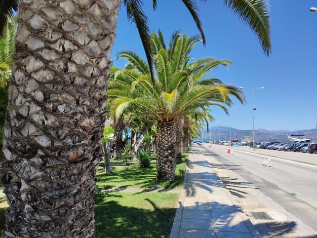 Har Mazatlan Uber? Din guide til Mazatlans samkjøringsapper