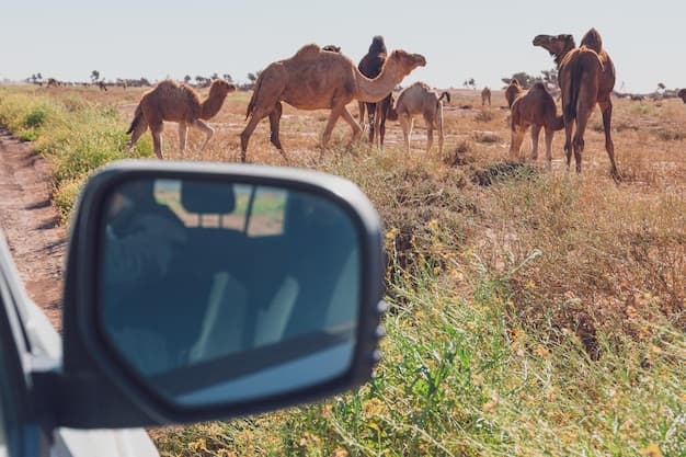 Emirates lanserer Tingg-delbetalingsløsning i Kenya