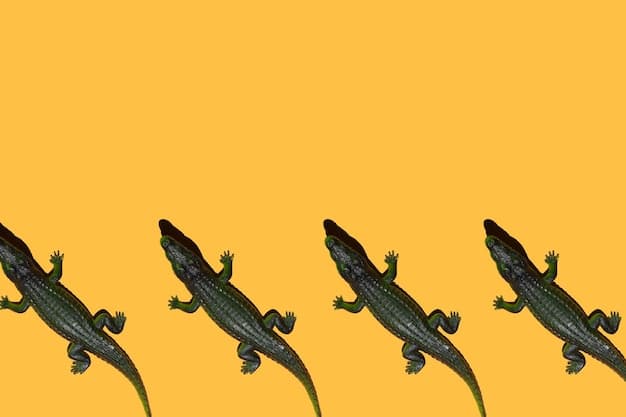 Explore Polurrian on the Lizard: A Four-Bedroom Holiday