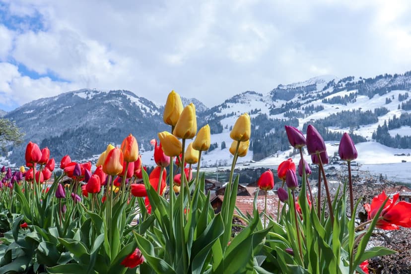 Unique Spring Adventures Await in Isère