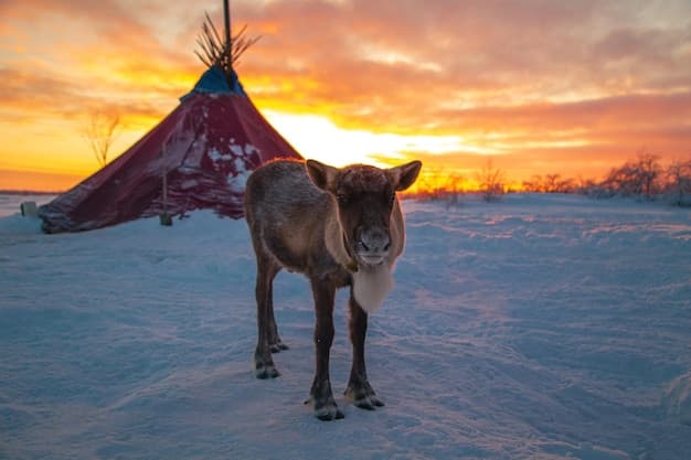 Unforgettable Things to Do in Cherokee North Carolina