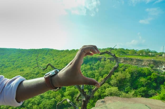 Fiji's Commitment to Eco-Friendly Tourism Practices