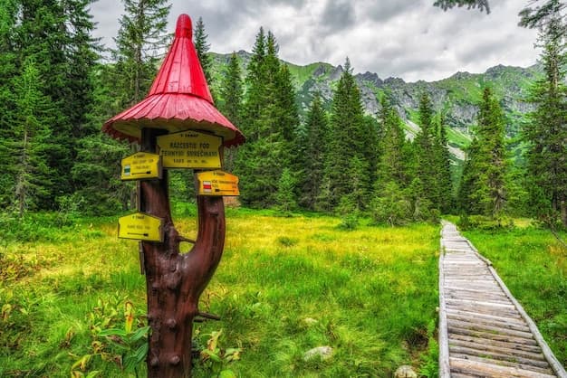 Fem produksjonsåpenbaringer fra Emerald Fennells