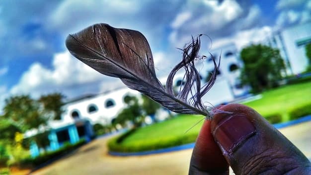 Fly Gabon's Growth with the Arrival of New Airbus A320