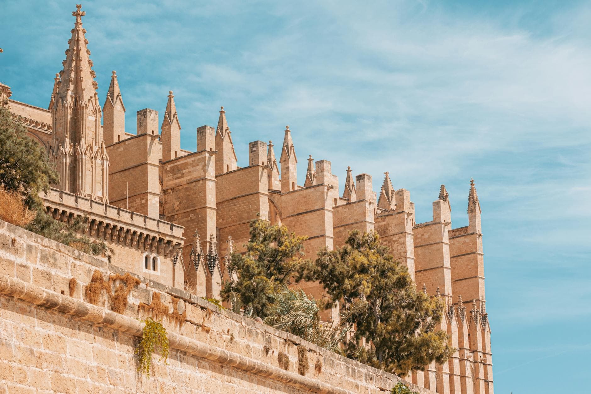 Palma Group Transfers: Guida per Minibus & Bus
