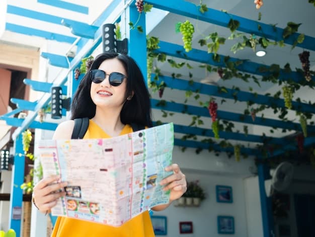 Gurgaon Plans for a Disneyland: Transforming Tourism and