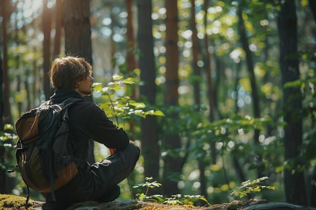 Healing Forest - Nature Therapy for Stress Relief and