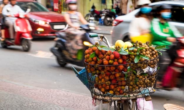 Ho Chi Minh Car Rental With Driver | Rent a Car with Driver in Ho Chi Minh City