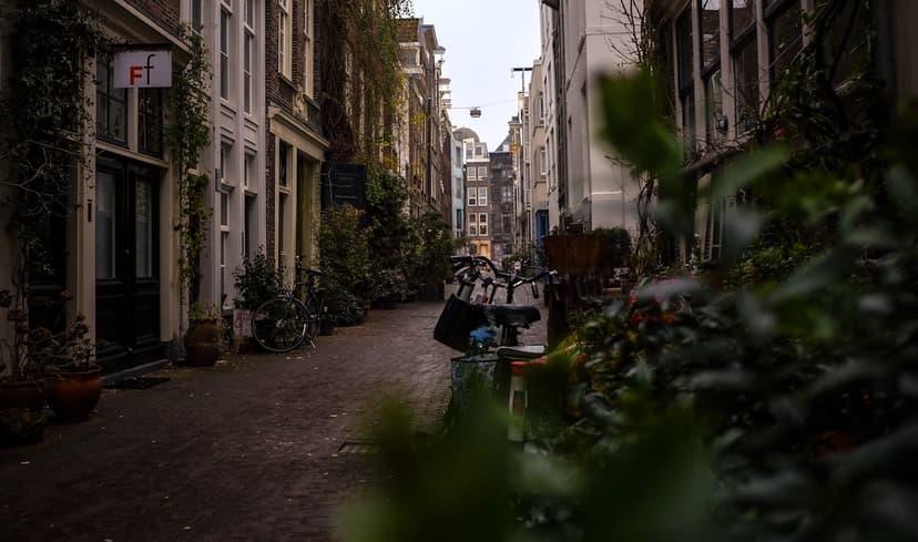 Holland Explorer - The Ultimate Dutch Travel Guide to