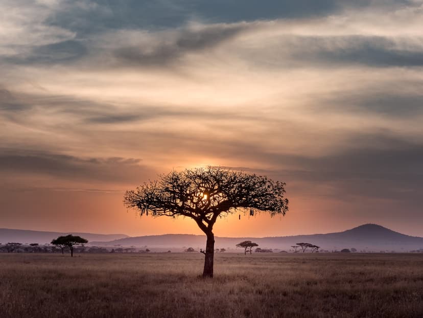 IATA Focus Africa 2026 to Boost Aviation Safety and