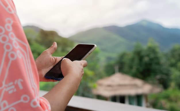 Indonesia’s New All Indonesia App Streamlines Arrival