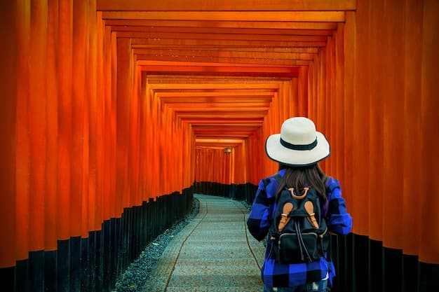 Kyoto Sublime - Exclusive Private Tour from Osaka-Kobe Port