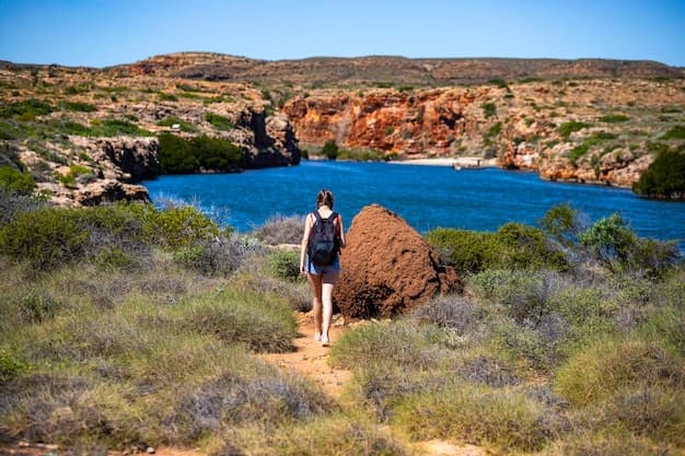 Northern Territory's Lorella Springs Tourism Permit Faces Uncertain Future Following Federal Court Review