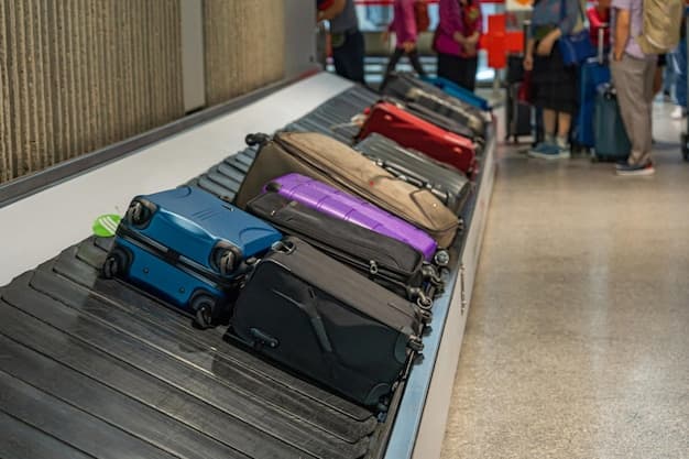 Luggage Storage at Adelaide Airport - Safe and Convenient