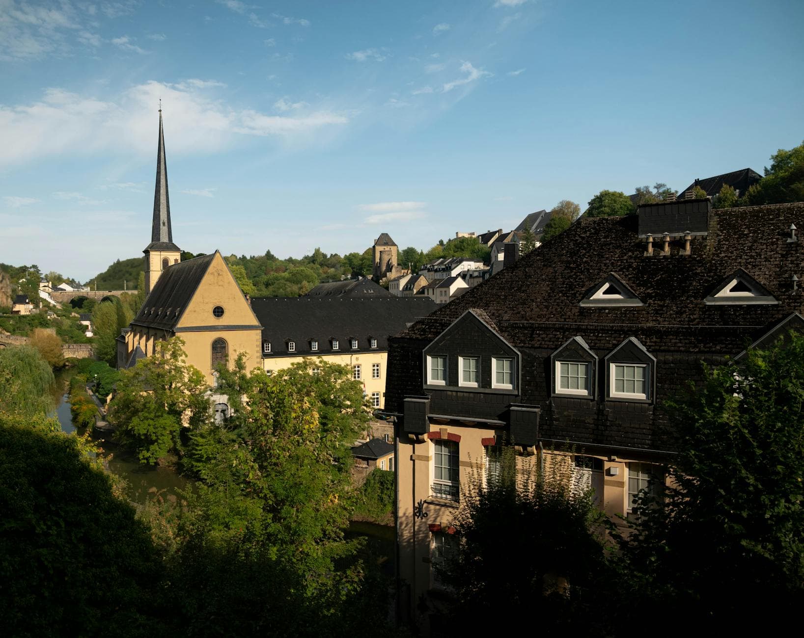 Luxembourg Private Chauffeur VTC 75 - Professional