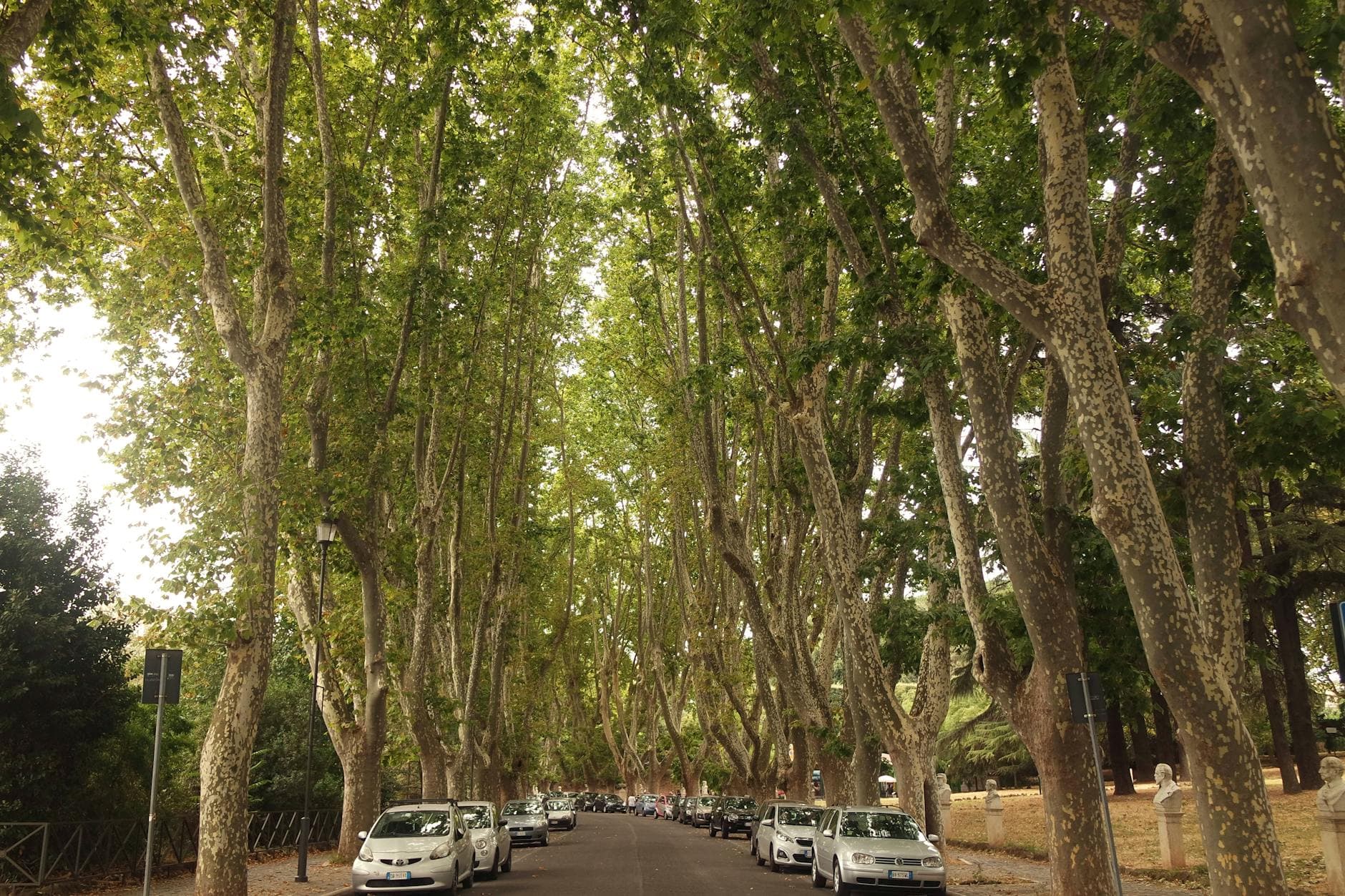 Milan til Verona Privat Bil Taxi Transfer fra €93