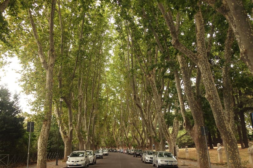 Milan til Verona Privat Bil Taxi Transfer fra €93