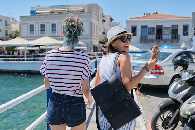 Mykonos Airport Transfer to Hotel &