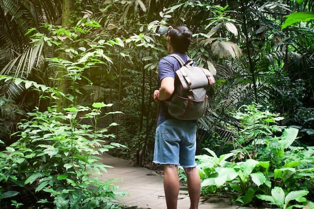 Navigating the Urban Jungle: Understanding Mobility as a