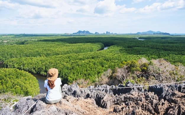 Phan Thiet: An Eco-Camping Haven in Vietnam's Coastal Charm