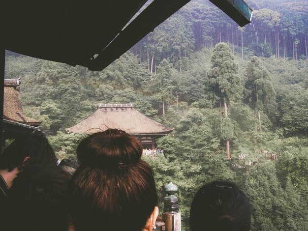 Discover the Best Forest Retreats in Asia for a Nature