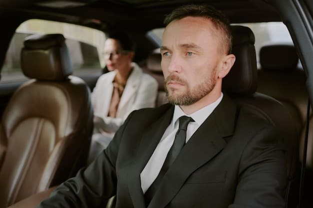 Professional Chauffeur Service in Anaheim - Luxury