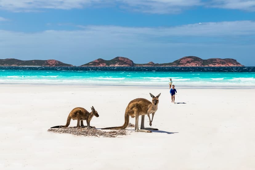 Celebrating Excellence in Australian Tourism: The 2026