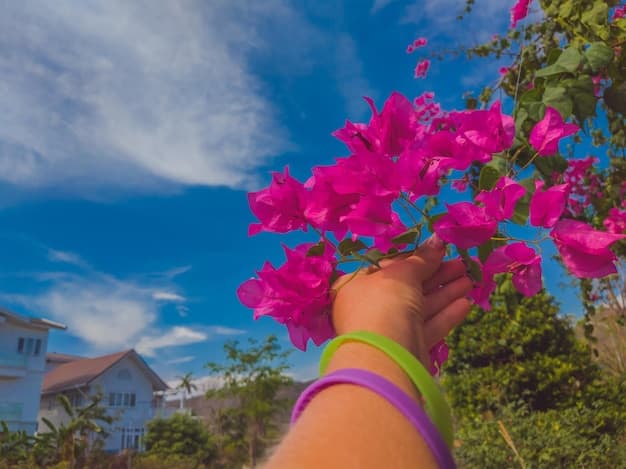 Ruta de las Flores El Salvador - Everything You Want to Know About the Flower Route